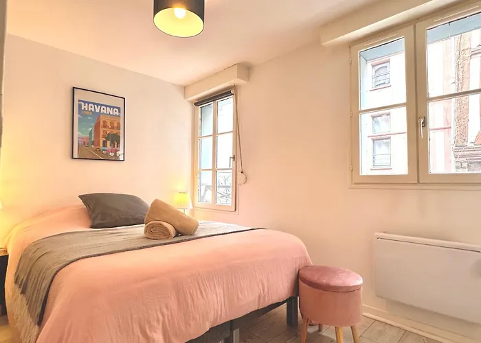 Logis De La Monnaie - Centre Historique - Parking Offert Appartement Troyes